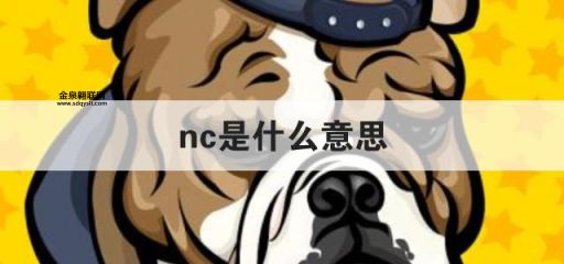 nc是什么意思(是骂人的话吗)