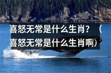 喜怒无常的动物是什么生肖(哪个生肖最容易喜怒无常)