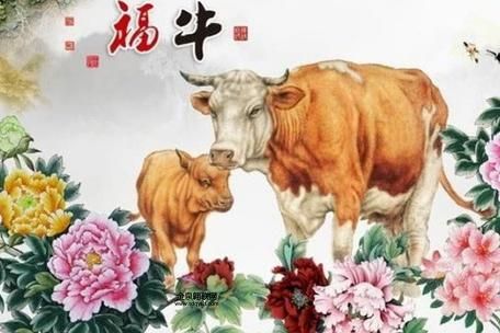 万众一心指什么生肖(牛代表着什么)