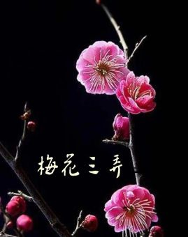 梅花三弄是什么生肖物( 有什么含义)