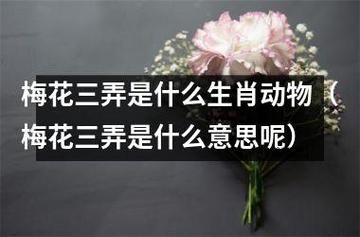 梅花三弄是什么生肖物( 有什么含义)