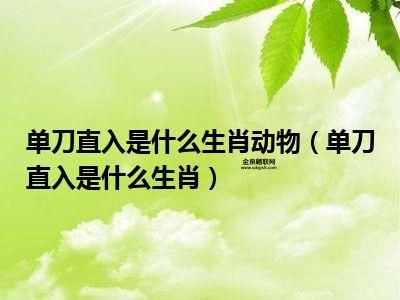 单刀直入是什么生肖？(哪个生肖最直接)