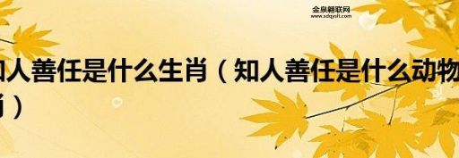 知人善任的动物打正确生肖(哪个生肖最擅长知人善任)