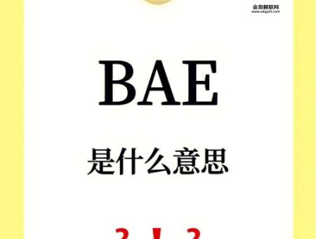 bae是什么意思(  它还有其他说法吗)