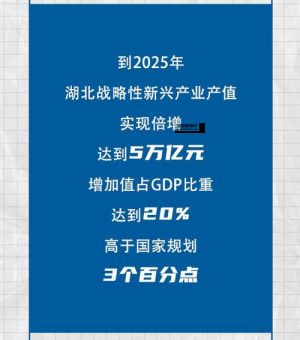 2025是什么年( 我们应该怎么做)