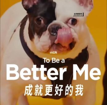 betterme是什么意思(如何才能真正变得更好)