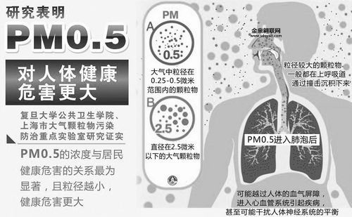 研究破解雾霾形成之谜(  硫酸盐的形成之谜被破解)