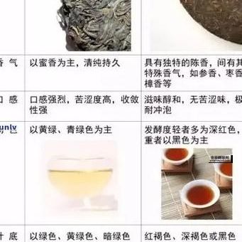 茶叶的分类和功效(哪种茶最适合我)