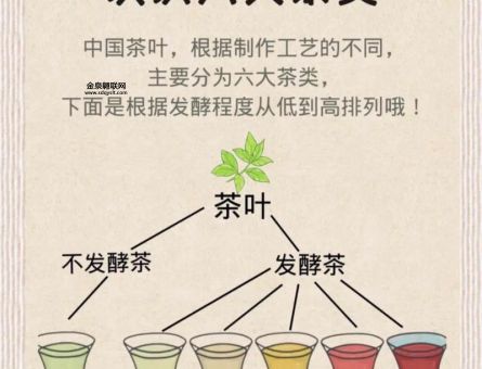 茶叶的分类和功效(哪种茶最适合我)