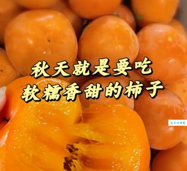 秋季除了水果还有啥？这些农作物你肯定也爱吃！