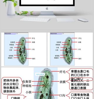 草履虫主要生殖方式是什么？你想知道的都在这！