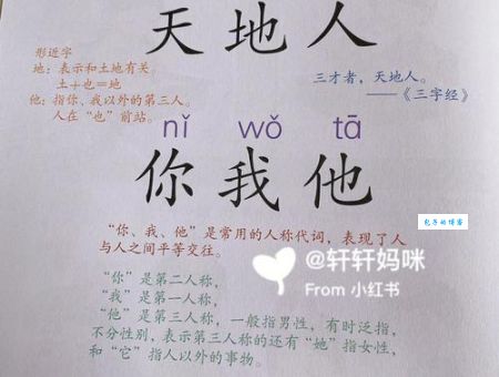 颇字组词详解（从释义到例句，你想知道的都在这）