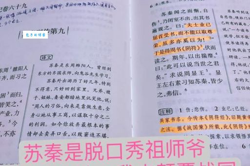 苏秦的老师(他们之间有什么故事)