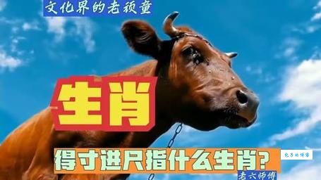 蚊力负山是什么生肖？这几个生肖有惊人力量！