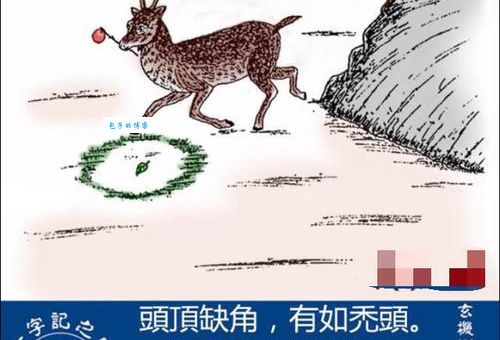 大海捞针猜一生肖(答案只有一个生肖)