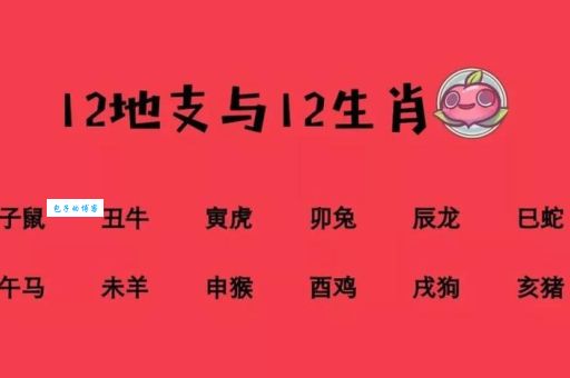 揭秘！醇酒美人是什么生肖，性格特点大公开！