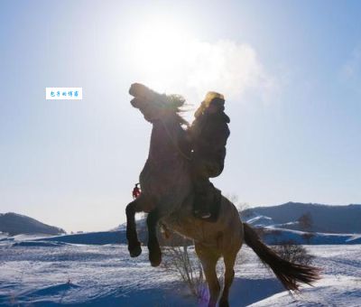 雪海冰山代表什么动物( 雪海冰山代表的动物是什么)