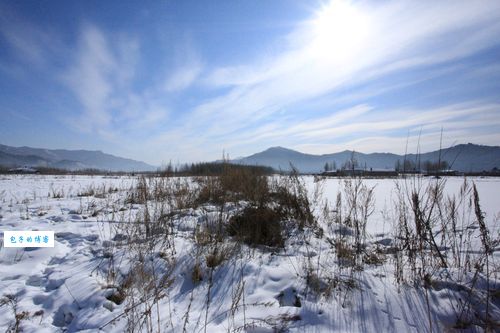 四海三川打一准确生肖(四海三川包含哪几个生肖)